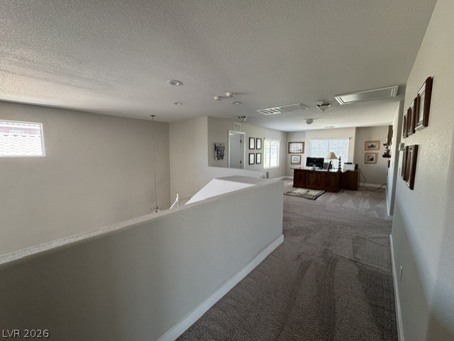 7379 Glorious Sun Drive Property Photo 37