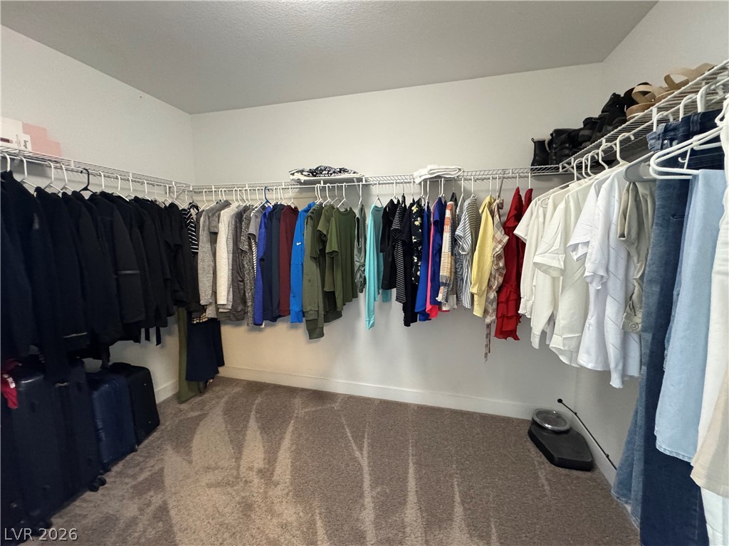 7379 Glorious Sun Drive Property Photo 45