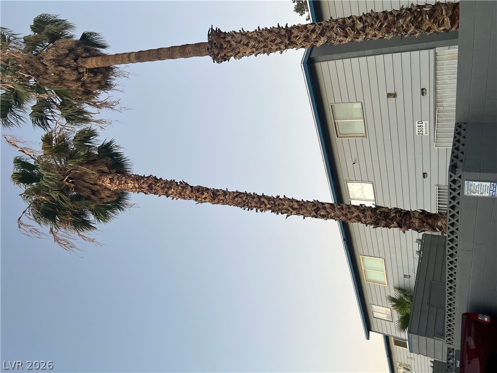 2518 Bulloch Street D Property Photo 25