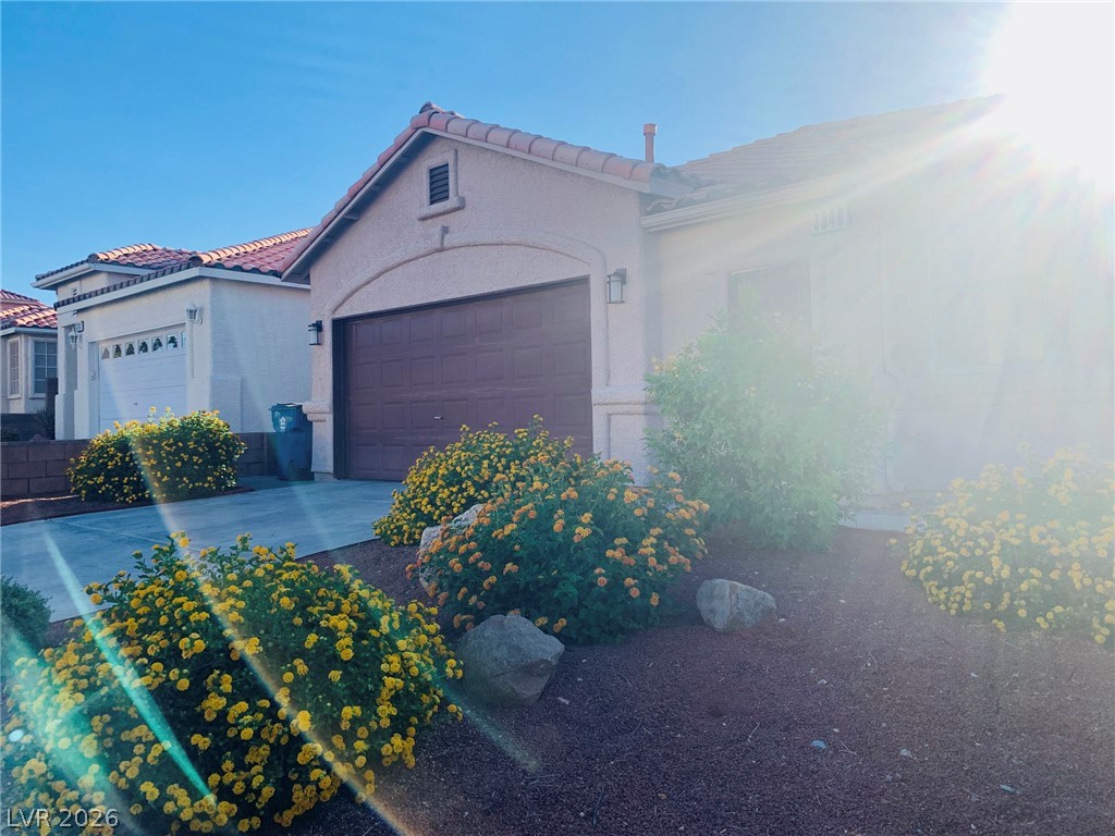 3346 Lark Bunting Street Property Photo 3