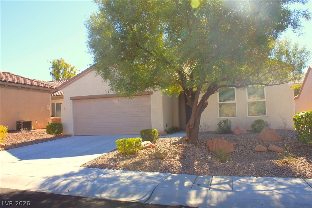 2212 Sawtooth Mountain Drive Property Photo 4