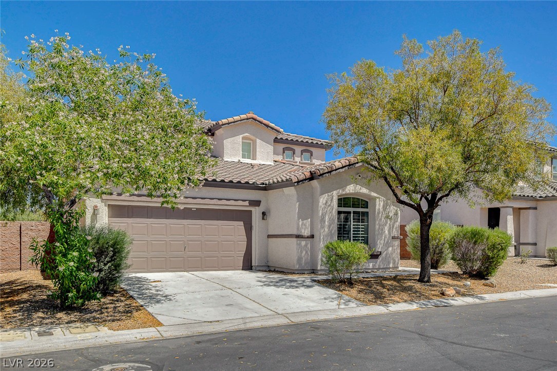 9734 Maspalomas Street Property Photo 3