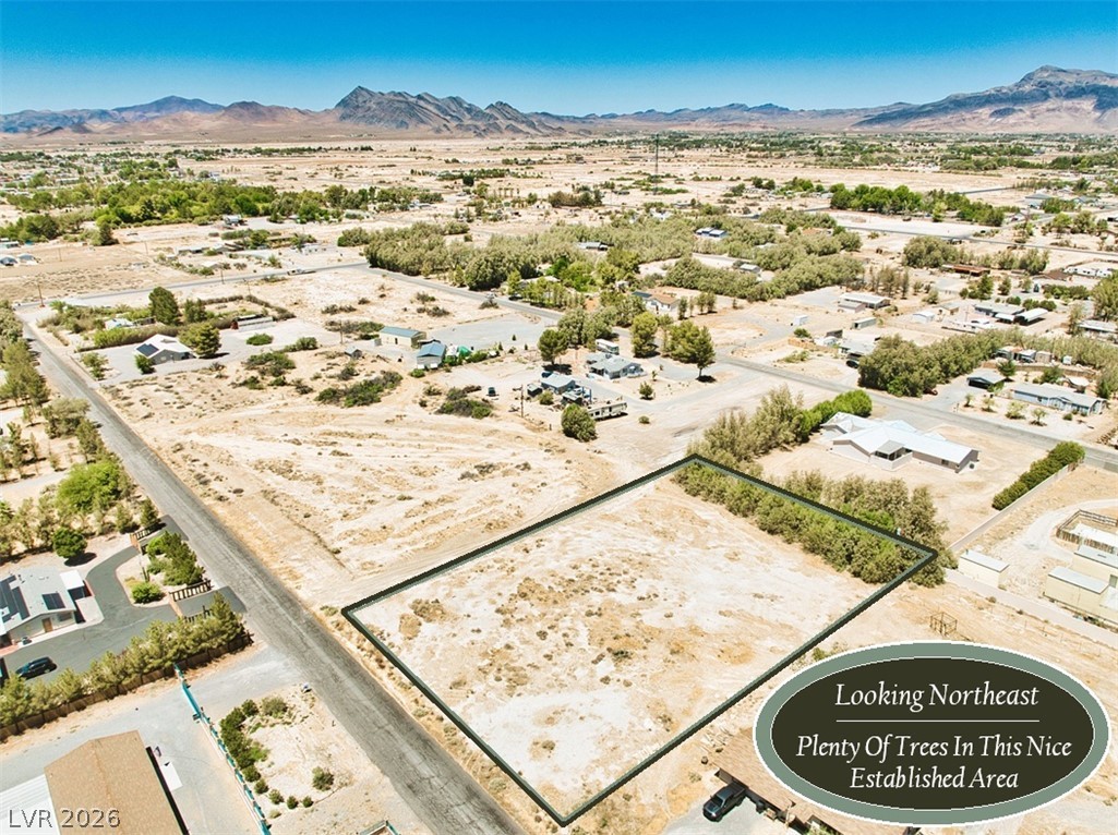 1800 West Horn Road Property Photo 5