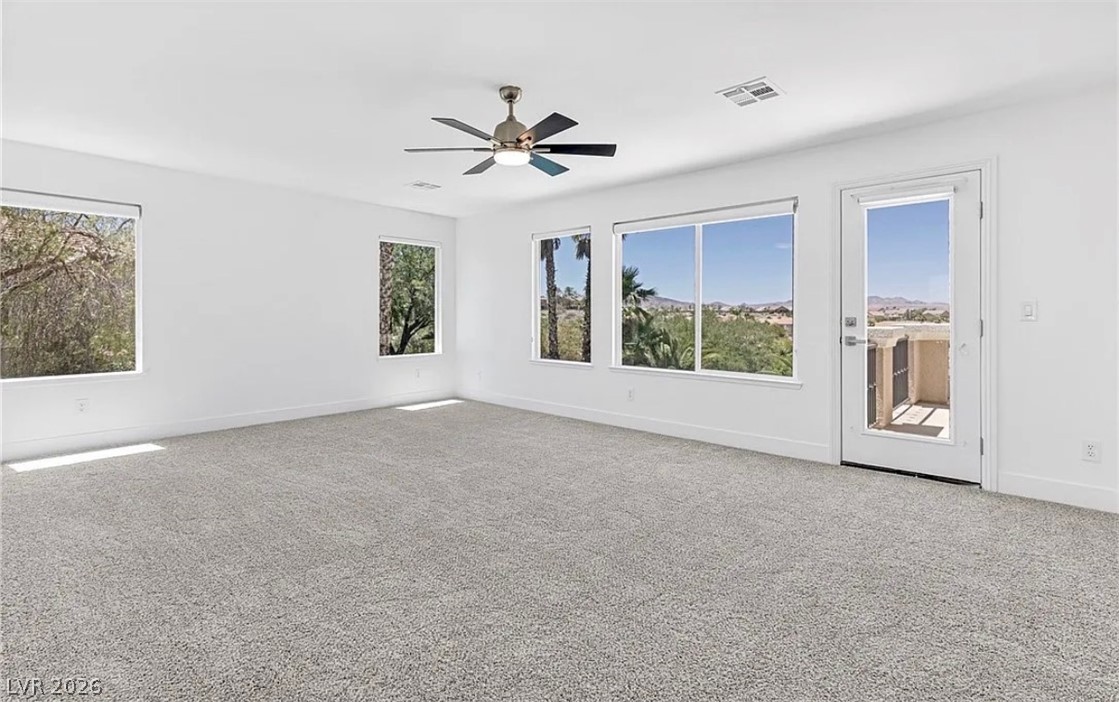 2948 Cimini Court Property Photo 51