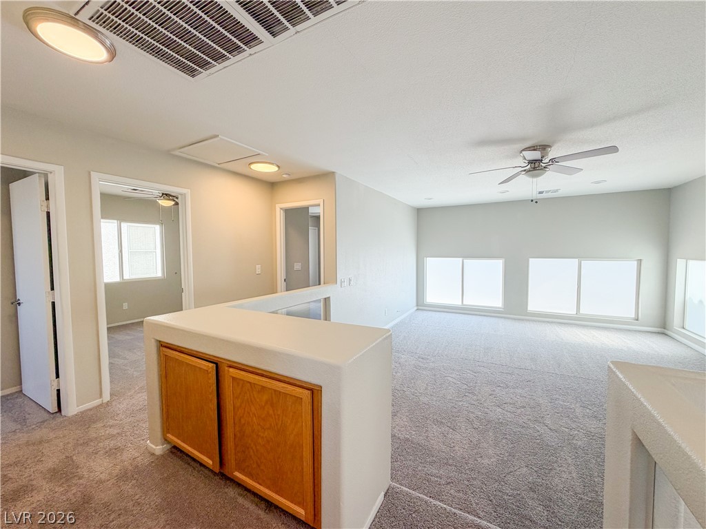 935 Plantain Lily Avenue Property Photo 17