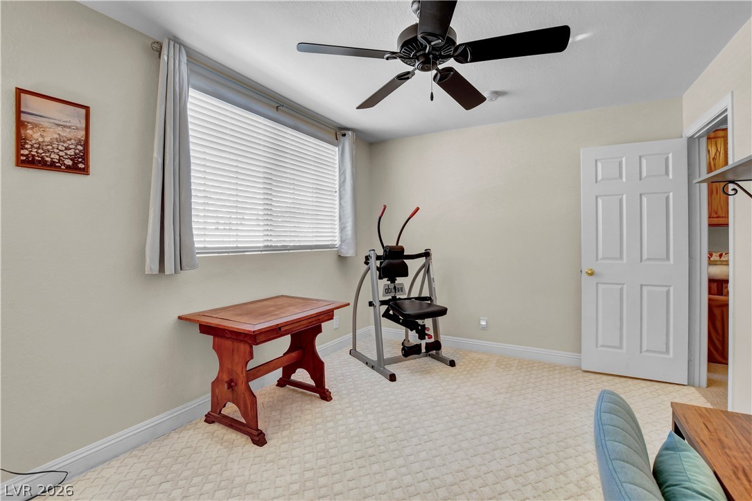 10005 Sail Landing Court Property Photo 46