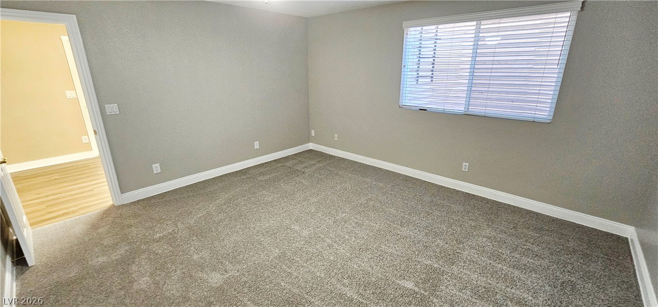 9158 Amber Waves Street Property Photo 47