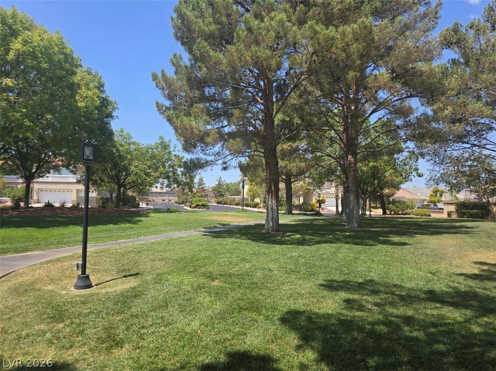 9158 Amber Waves Street Property Photo 59