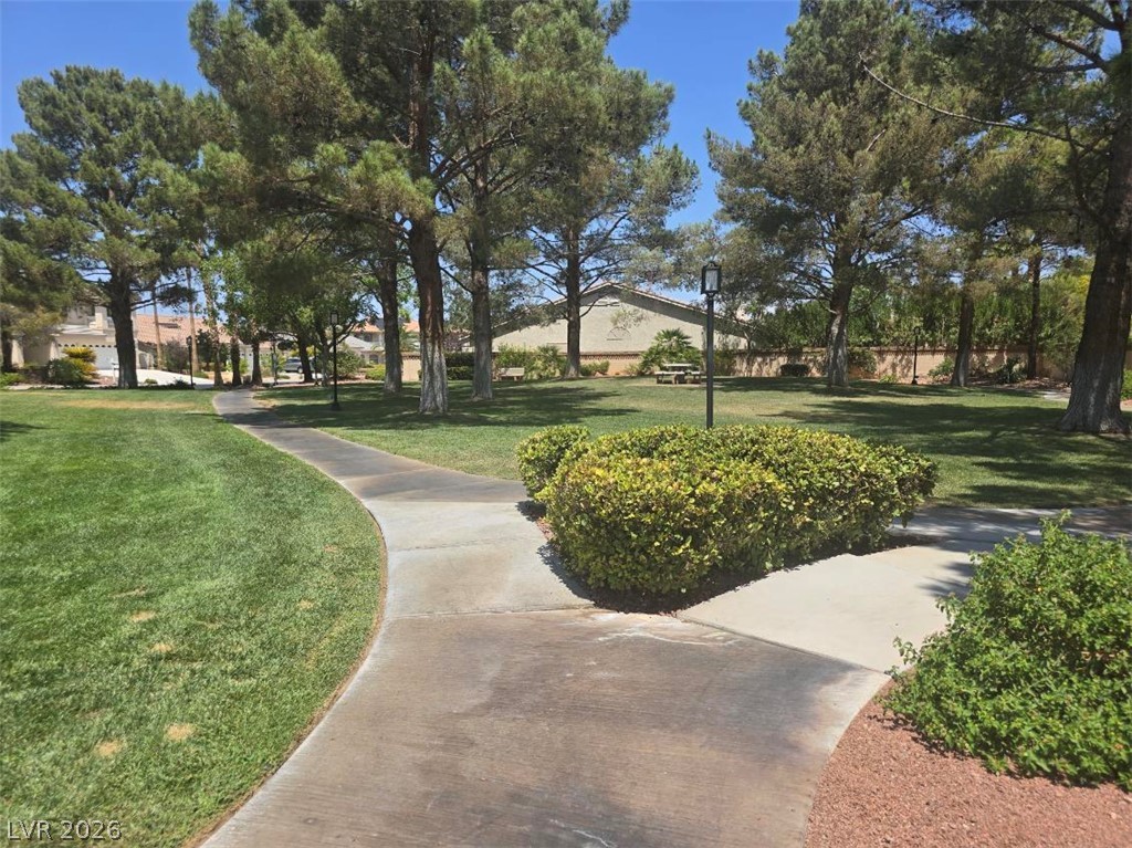 9158 Amber Waves Street Property Photo 60