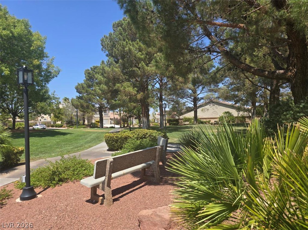 9158 Amber Waves Street Property Photo 61