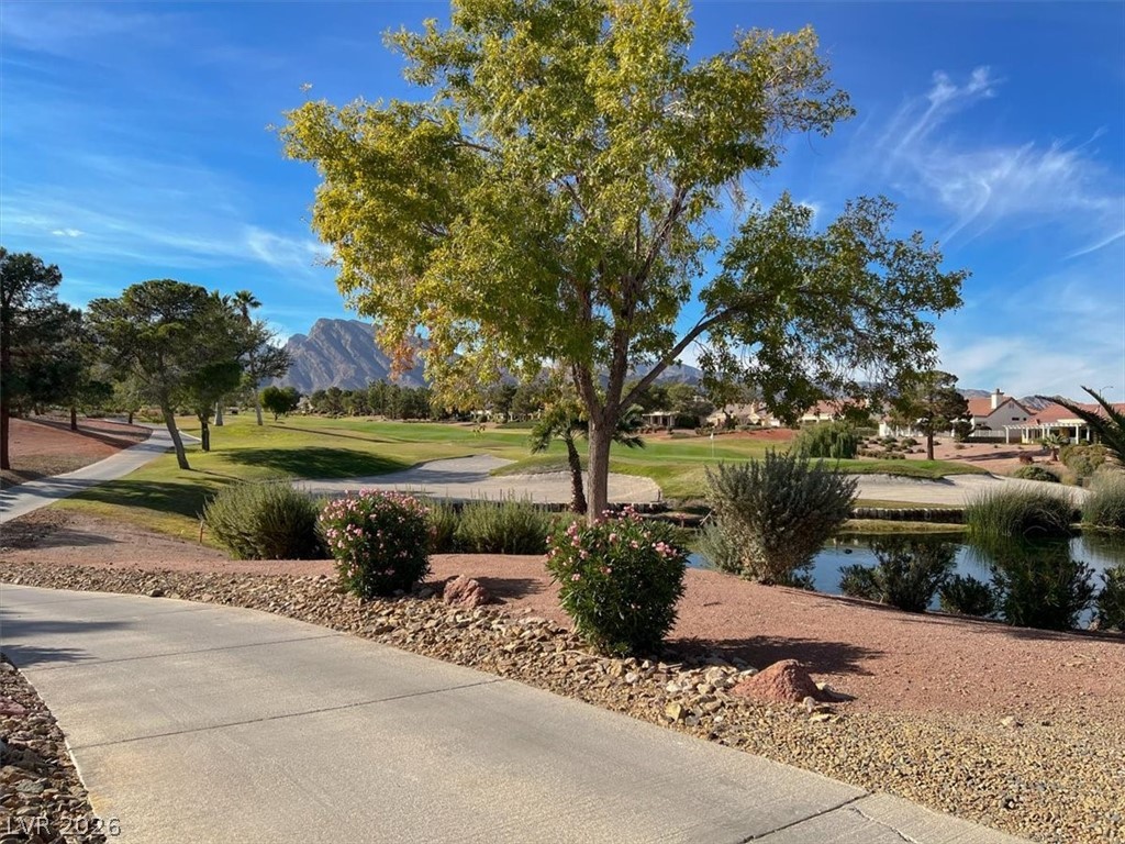 8601 Prairie Hill Drive Property Photo 39