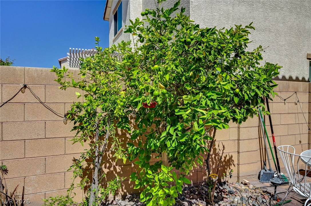 6363 Amelia Ridge Avenue Property Photo 33