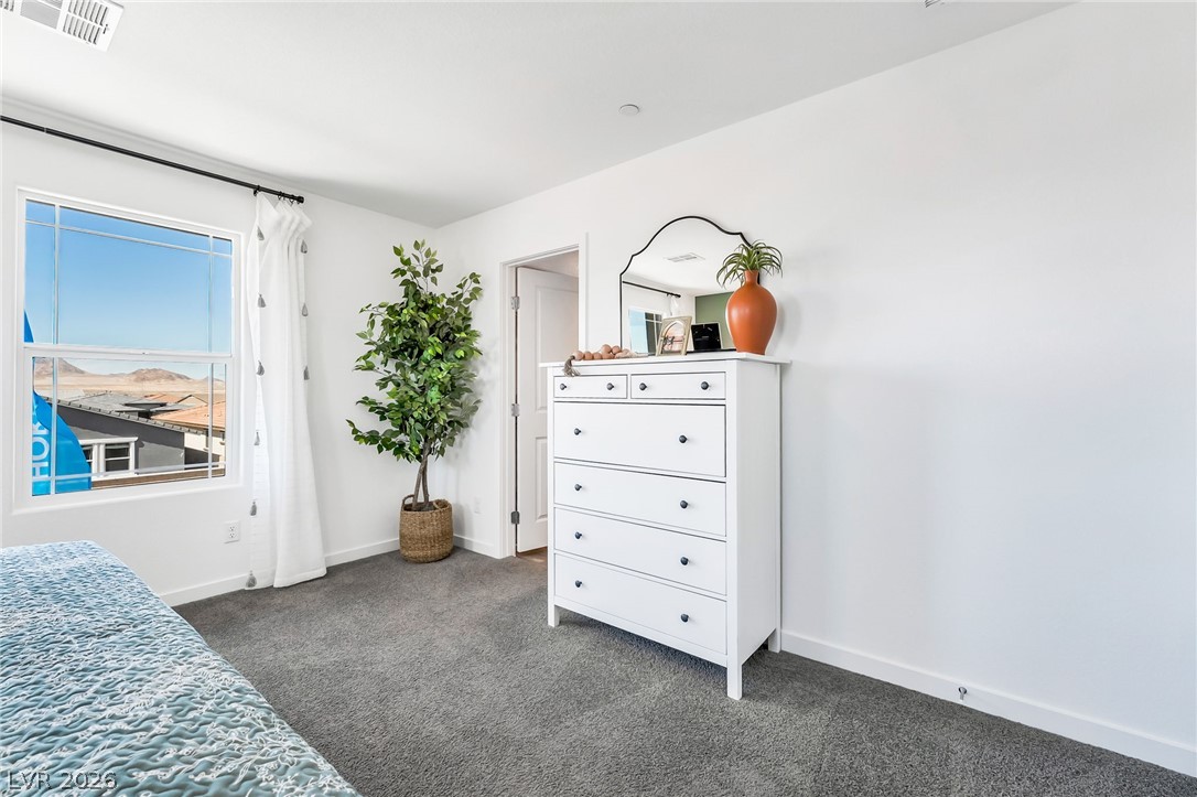 914 Rosy Starling Street Property Photo 28
