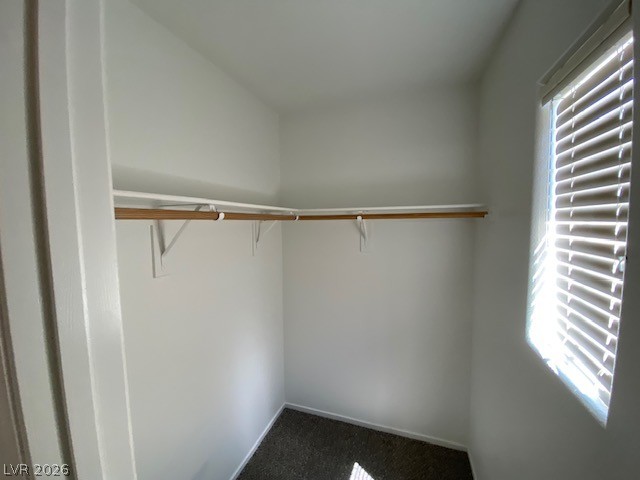 8065 Caspian Moon Drive Property Photo 15