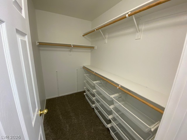 8065 Caspian Moon Drive Property Photo 21