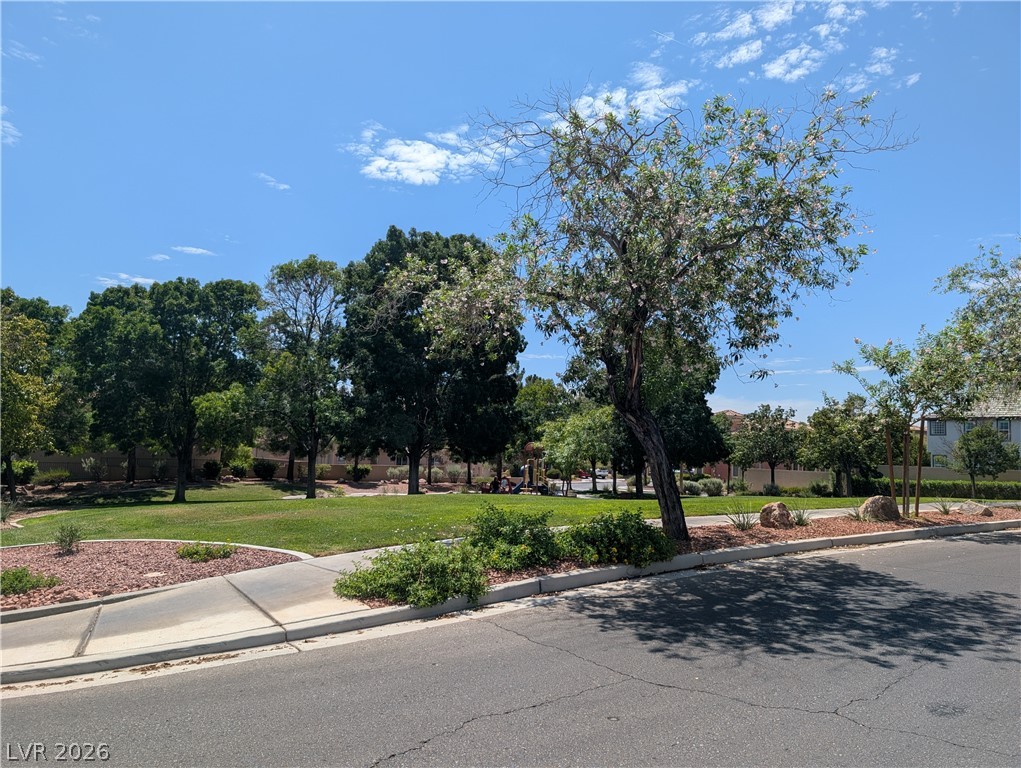 2307 Summer Home Street Property Photo 51