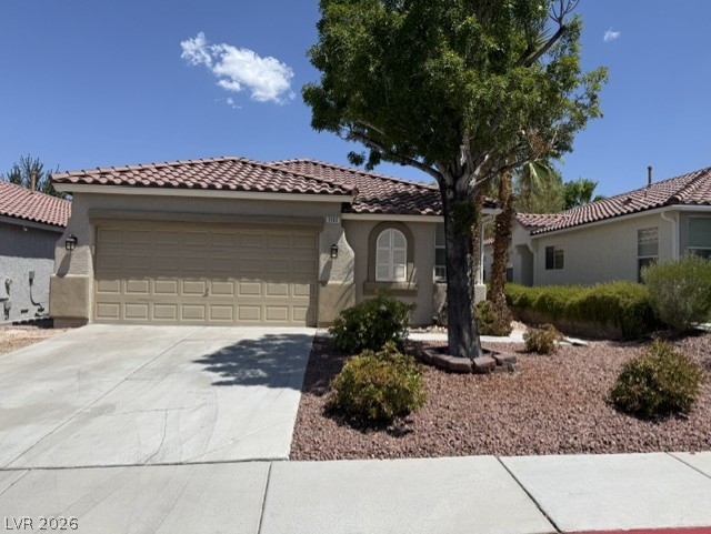 1132 Cathedral Ridge Street Property Photo 1