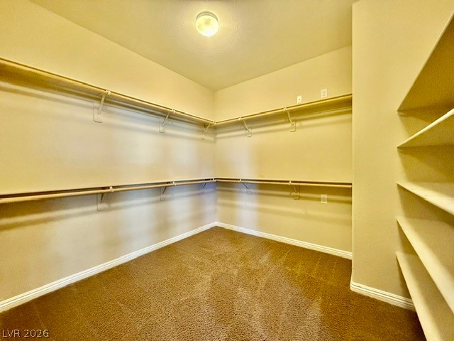 8443 Blacktip Avenue Property Photo 12