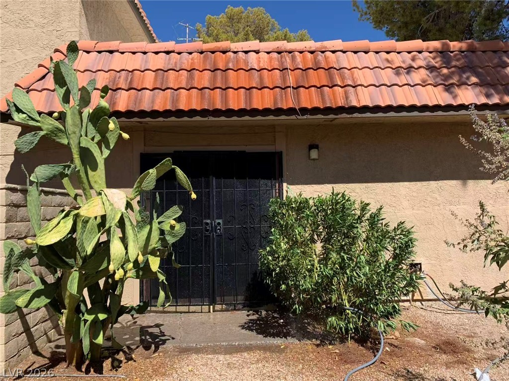 1897 Avacado Court Property Photo 3