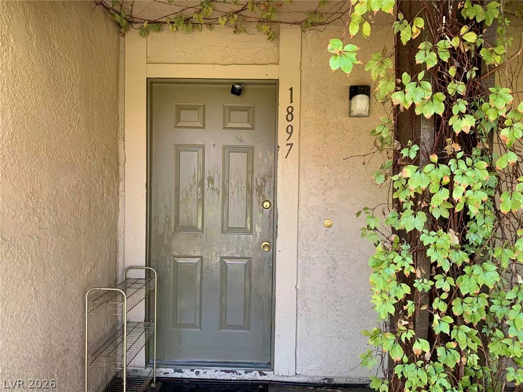 1897 Avacado Court Property Photo 4