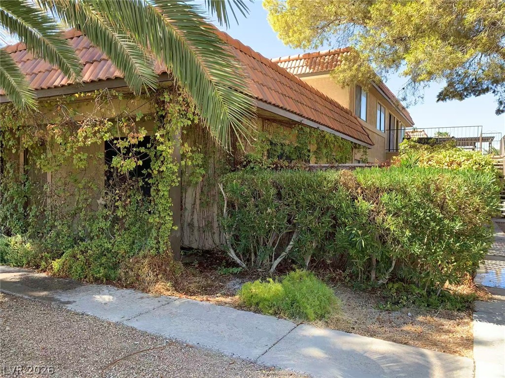 1897 Avacado Court Property Photo 5