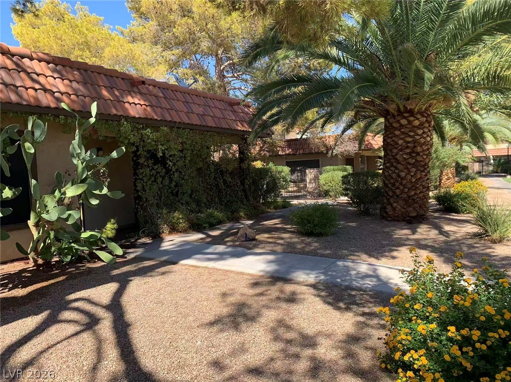 1897 Avacado Court Property Photo 25
