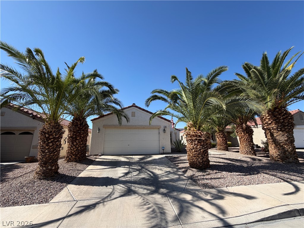 705 Salt Flats Circle Property Photo 1