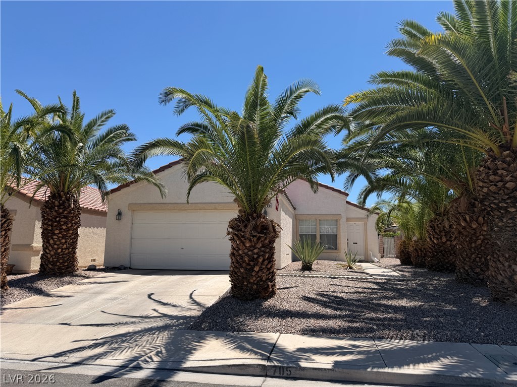 705 Salt Flats Circle Property Photo 2