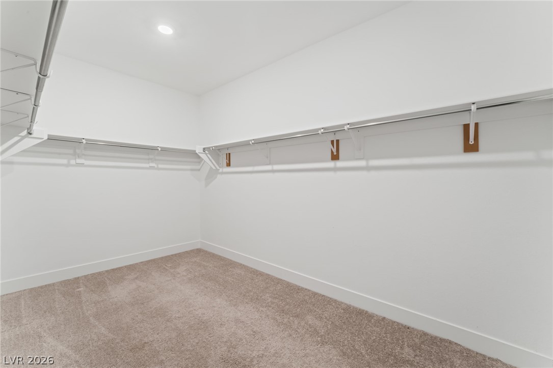 9993 Birch Knoll Avenue Property Photo 46