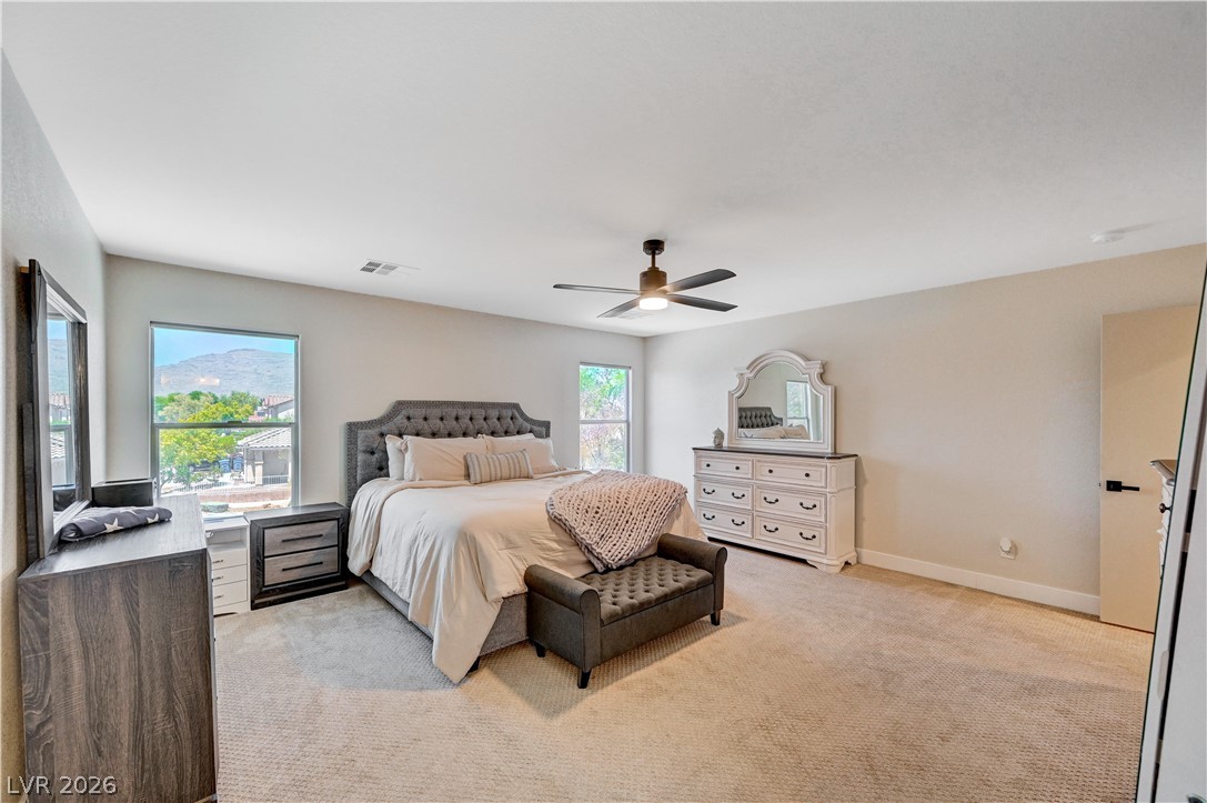 4916 Apache Valley Avenue Property Photo 26