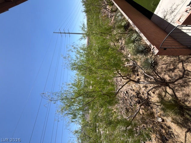 3001 Young Bouvier Avenue Property Photo 3