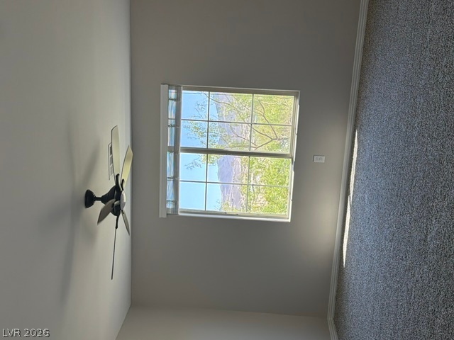 3001 Young Bouvier Avenue Property Photo 16