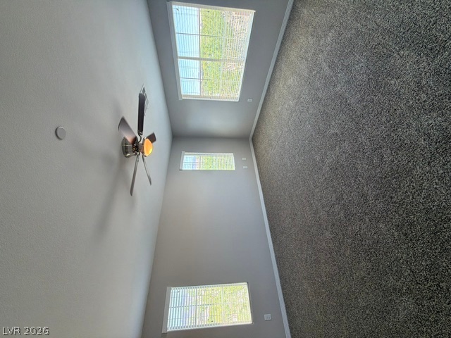 3001 Young Bouvier Avenue Property Photo 19