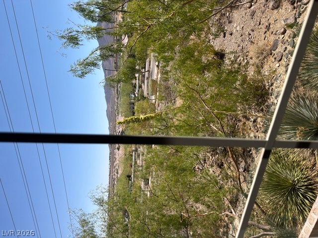 3001 Young Bouvier Avenue Property Photo 21