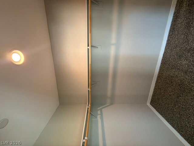 3001 Young Bouvier Avenue Property Photo 24