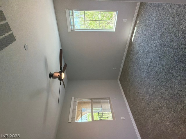 3001 Young Bouvier Avenue Property Photo 29