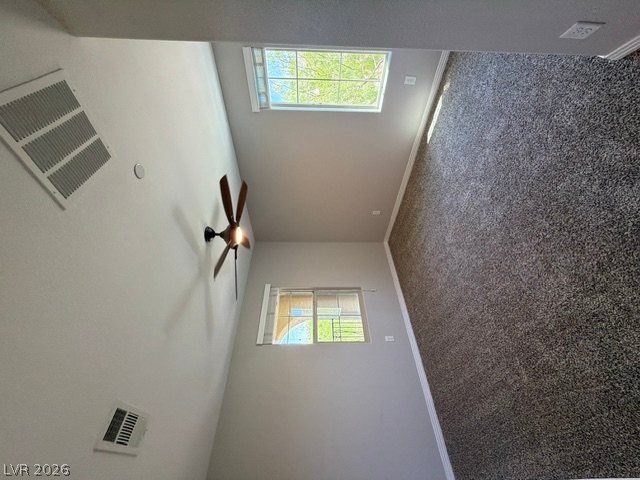 3001 Young Bouvier Avenue Property Photo 31