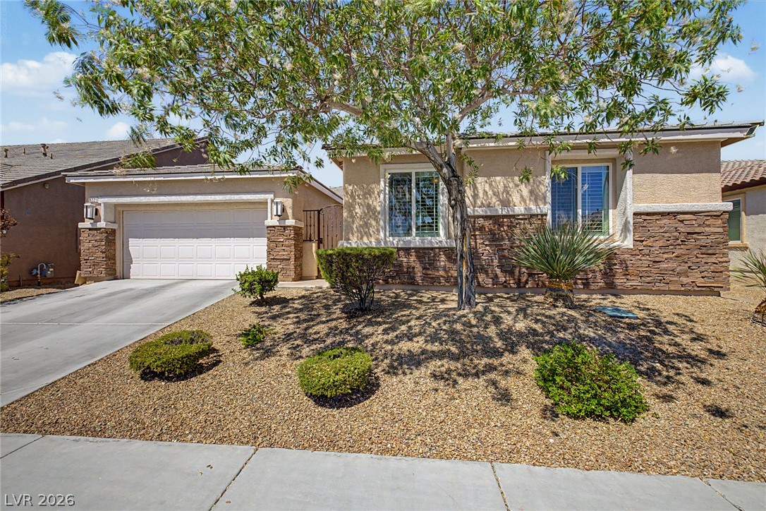 8221 Redbud Vine Street Property Photo 1