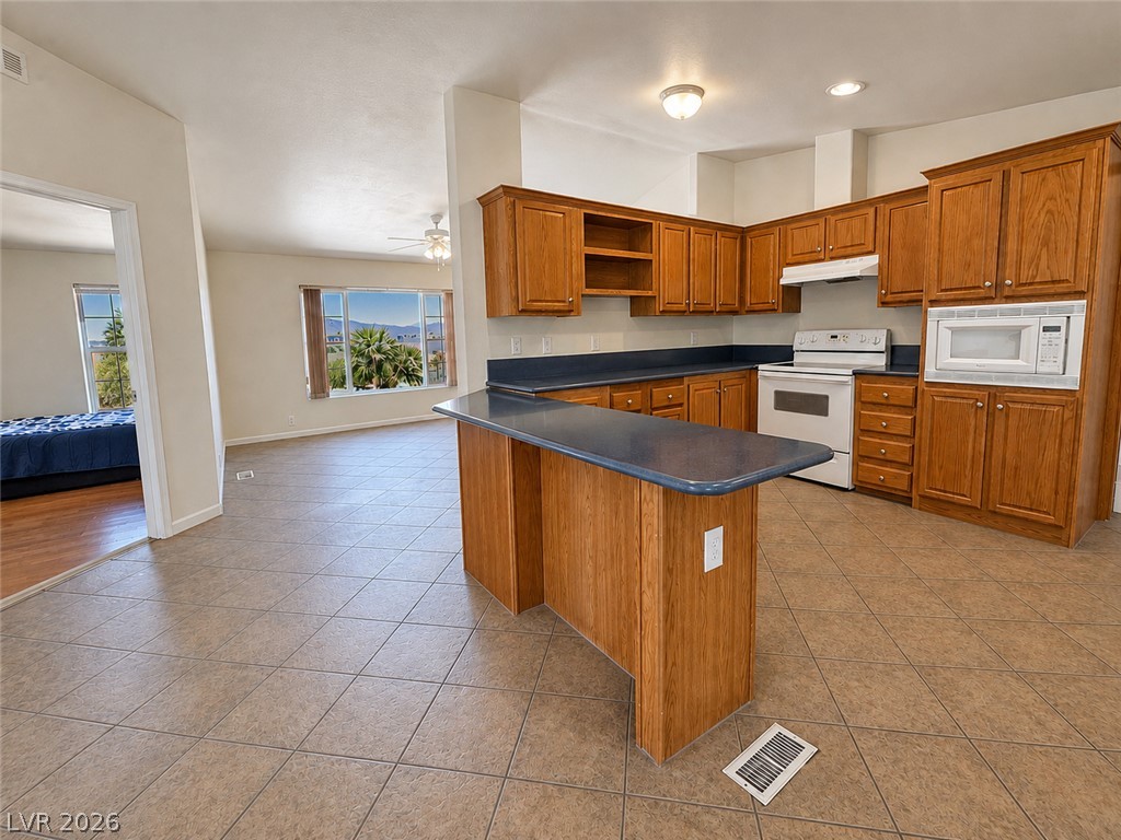 4761 West Medicine Man Road Property Photo 18