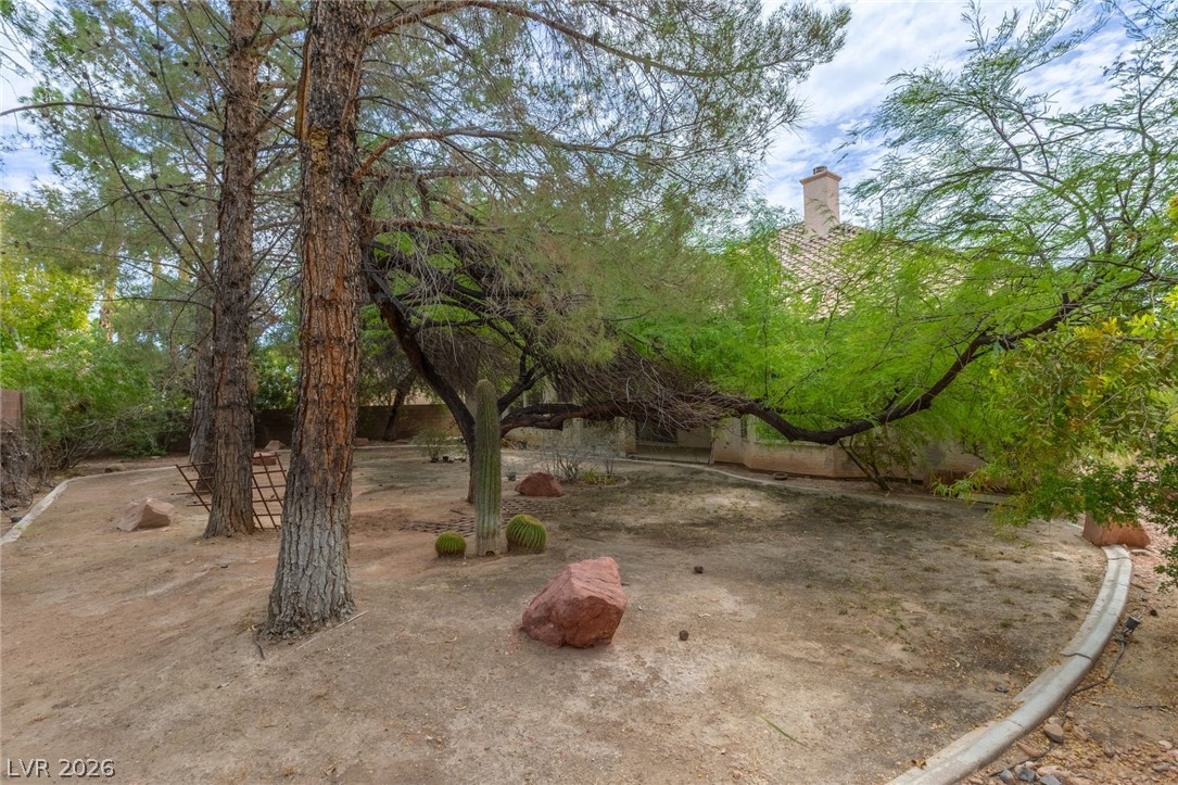 8312 Fullmoon Maple Avenue Property Photo 38