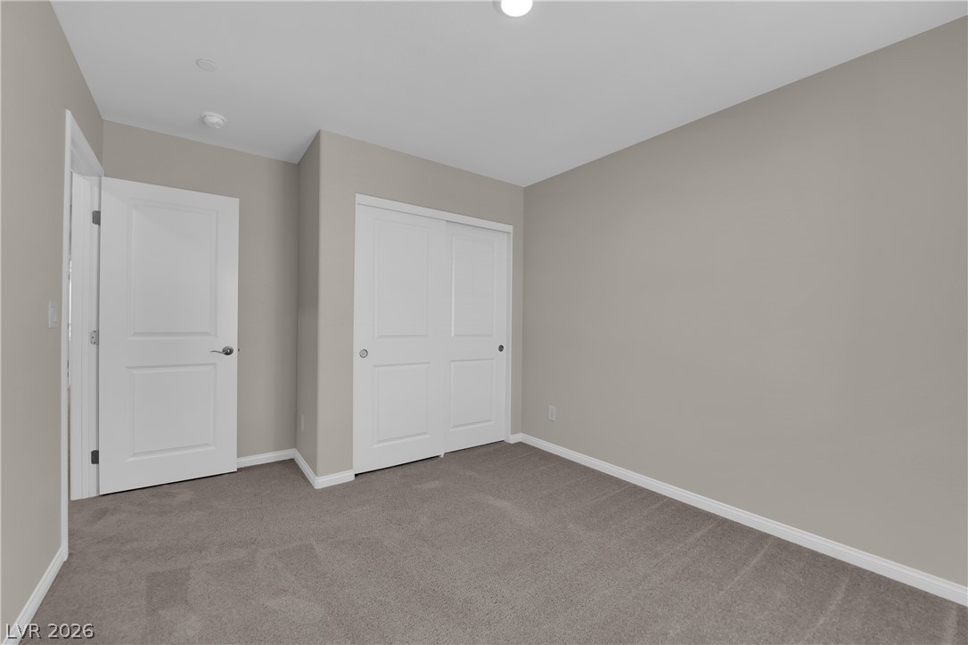 4249 Sago Lily Street Property Photo 22