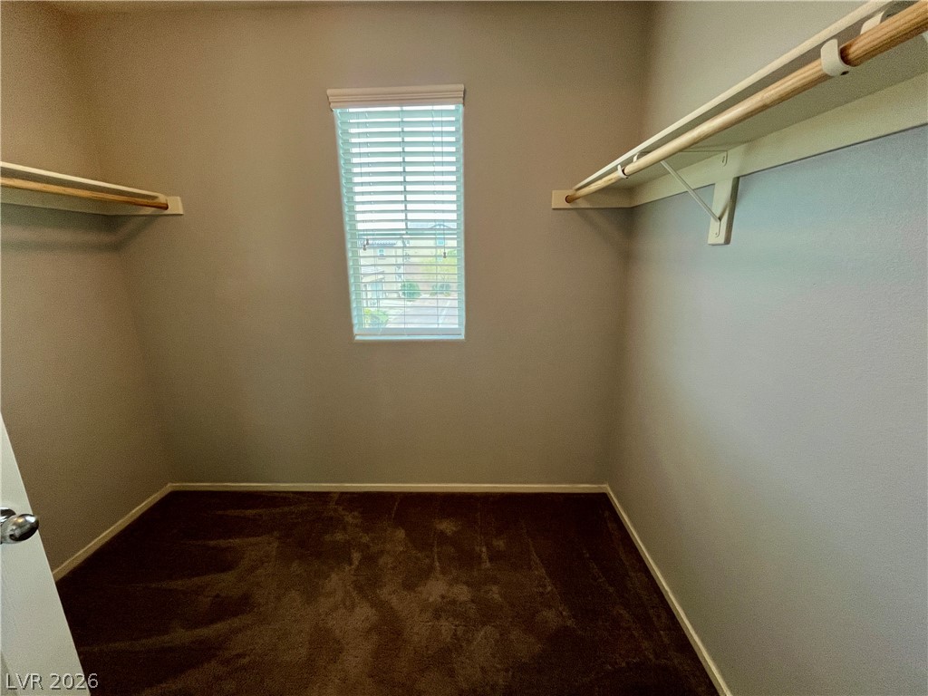 1045 Spotted Saddle Street Property Photo 15