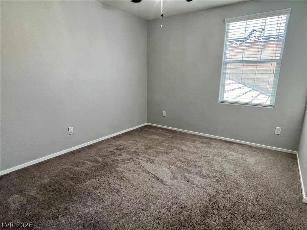 1045 Spotted Saddle Street Property Photo 20