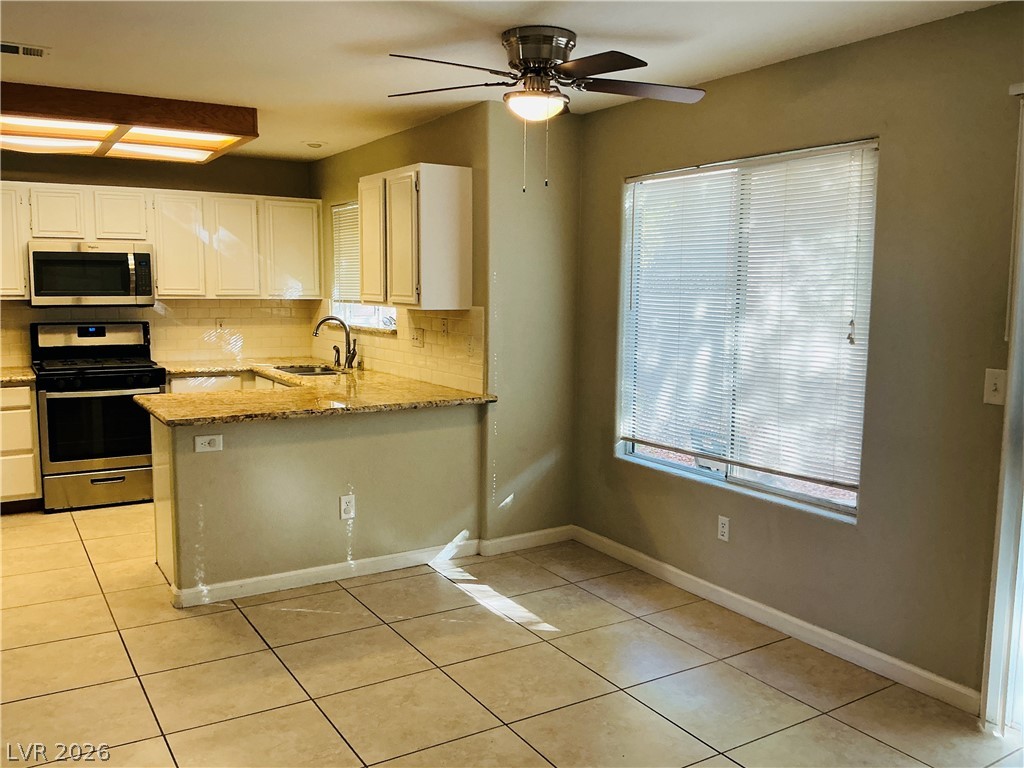 8737 Wintry Garden Avenue Property Photo 2