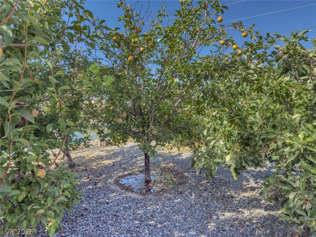 201 West Lupin Street Property Photo 38