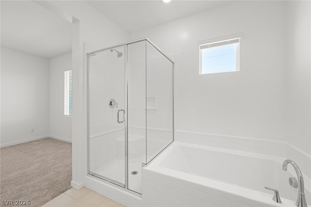 9587 Agave Grove Court Property Photo 18