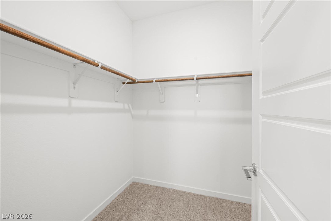 9587 Agave Grove Court Property Photo 19