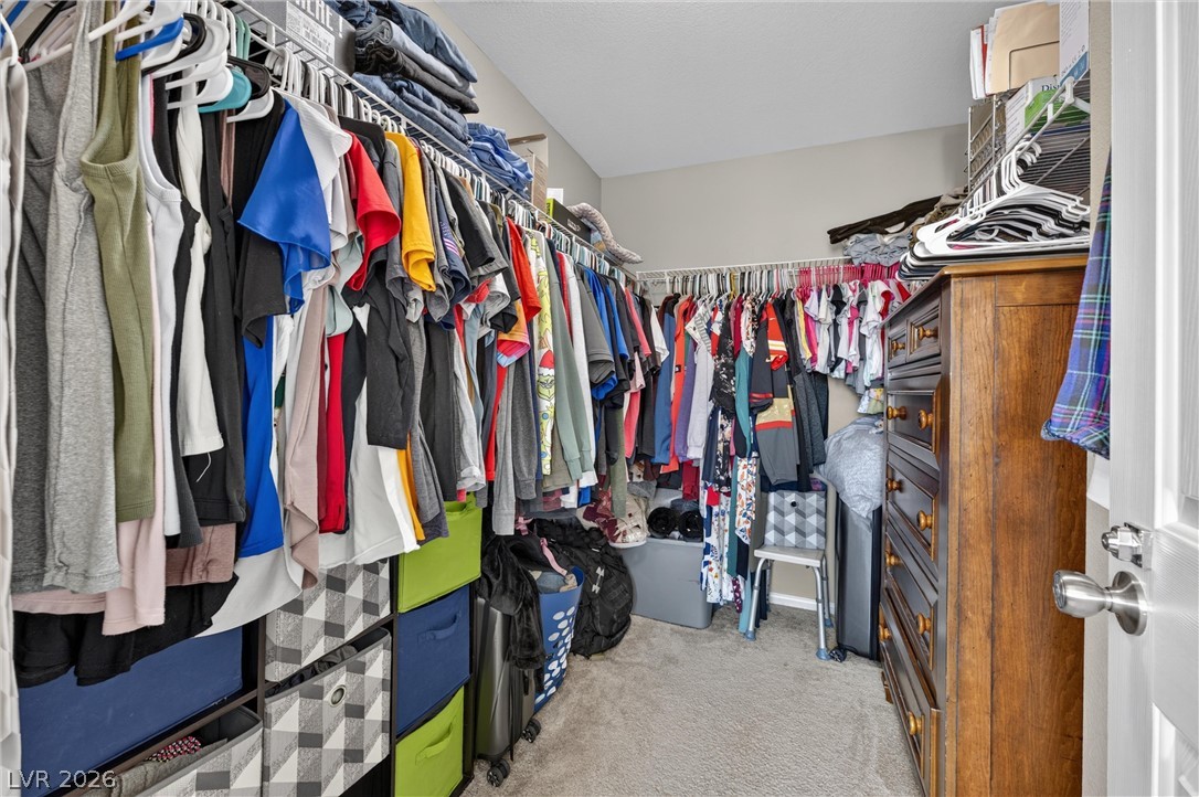 6684 Mojave Blush Drive Property Photo 41