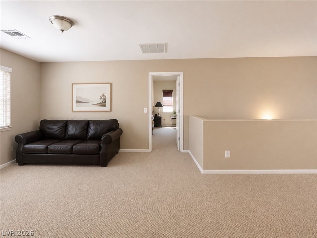 9044 Black Elk Avenue Property Photo 27
