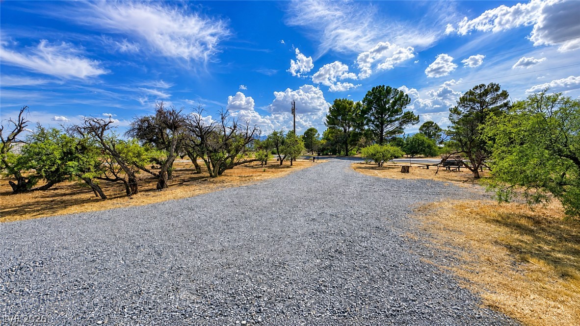 5551 Money Street Property Photo 59